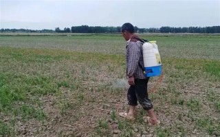 冬季打農(nóng)藥要注意什么，在晴天高溫時(shí)段用藥效果更好