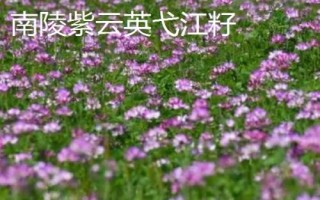 安徽南陵縣的特產(chǎn)，所產(chǎn)大米批準(zhǔn)為國(guó)家地理標(biāo)志保護(hù)產(chǎn)品