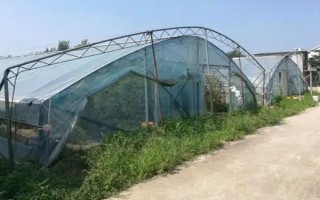 基肥是什么肥料，指的是在作物播種前所施用的肥料