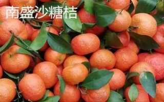 廣東省云安的特產(chǎn)，種桑養(yǎng)蠶歷史悠久