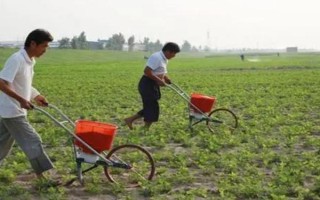 提高花生產(chǎn)量的方法，需輪作換茬、巧施肥料等