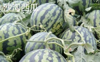 安徽省長(zhǎng)豐縣的特產(chǎn)，下塘燒餅深受消費(fèi)者喜愛
