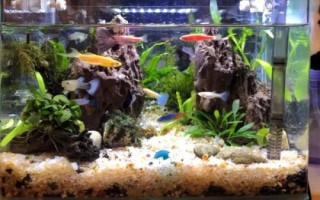 魚缸怎樣保持弱酸性水，可以給魚缸充氧
