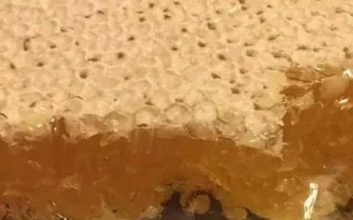 挖蜂巢蜜為什么要用木勺，可防止其受污染