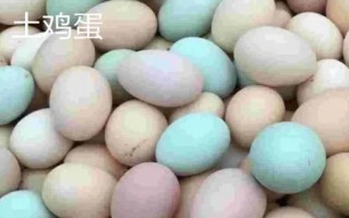 如何鑒別土雞蛋和洋雞蛋，個(gè)頭、顏色等均不同