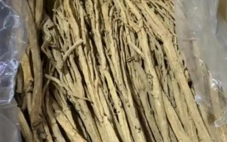 黨參怎么采收和加工，地上部分枯萎后挖出參根、經(jīng)過晾曬揉搓再保存