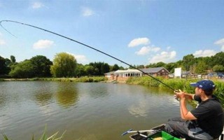 垂釣白條魚應(yīng)該釣浮還是釣底，屬于上層魚類一般可以釣浮