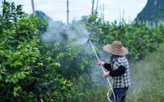 毒死蜱能殺死蚧殼蟲嗎，效果不是非常好