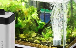 魚缸打氧機(jī)不出泡的解決辦法，可以嘗試將氧氣泵放在高一點(diǎn)的位置