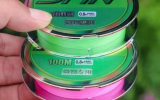 0.8子線適合釣什么魚，適合搭配1.0或1.2號(hào)主線