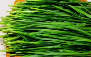 半陰半陽(yáng)適合種什么蔬菜，可以種韭菜、空心菜、蠶豆和花生等