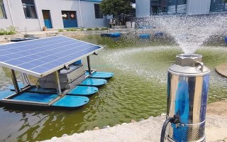鄉(xiāng)鎮(zhèn)有哪些空缺生意，比如光伏抽水設備、家庭飼料加工等