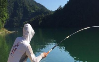 釣黑魚(yú)的技巧，最佳時(shí)間是3-11月
