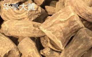 甘肅省酒泉市的特產(chǎn)水果，包括瓜州蜜瓜、瓜州西瓜等種類