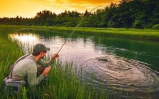 青魚怎么釣，選擇合適的釣組尤為重要
