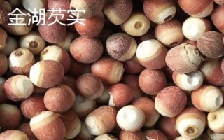 江蘇省金湖縣的特產(chǎn)，白馬湖大閘蟹遠(yuǎn)銷四方