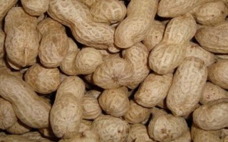 哪些農(nóng)作物在秋季成熟，包括花生、玉米、西紅柿等品種