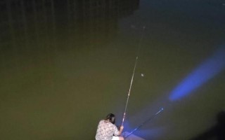 冬天夜釣鯉魚怎么選釣點(diǎn)，最好根據(jù)水域來選擇
