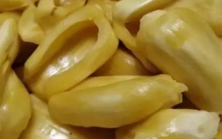 菠蘿蜜的上市時間，通常為9-10月份