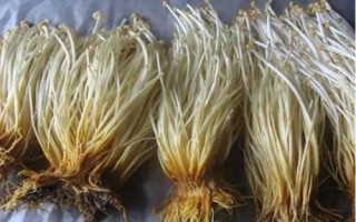 金針菇基腐病怎么防治，發(fā)現(xiàn)病菇要立即清除