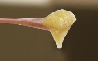 百花蜜還是枇杷蜜好，各有千秋