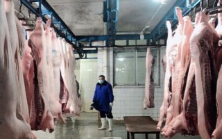 開辦屠宰場需辦理的手續(xù)，包括屠宰許可證、排污許可證及動物防疫條件許可證等