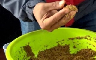 魚餌入水散落太快的原因及解決辦法，可能是魚餌攪拌不均勻或餌水比沒掌握好等