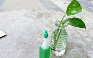 水養(yǎng)綠蘿加哪些肥料，加2-3滴營(yíng)養(yǎng)液即可