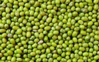 哪些農(nóng)作物在秋季成熟，包括花生、玉米、西紅柿等品種