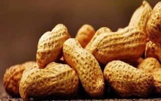 花生有哪些生長特點，地上開花地下結(jié)果、花朵呈單生或簇生狀