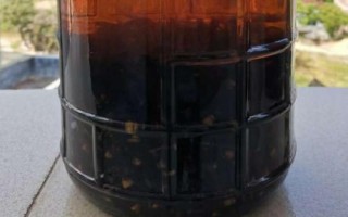 黃腰胡蜂能不能泡酒,可以泡酒但浸泡時(shí)間不能過(guò)長(zhǎng)