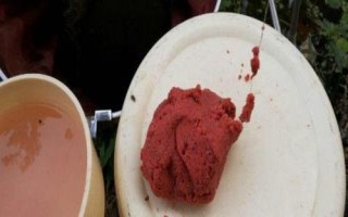 魚餌入水散落太快的原因及解決辦法，可能是魚餌攪拌不均勻或餌水比沒掌握好等