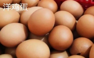 如何鑒別土雞蛋和洋雞蛋，個(gè)頭、顏色等均不同