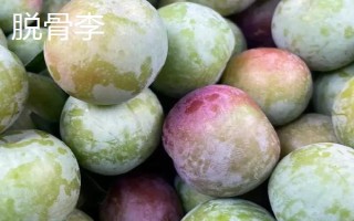 綠色的李子品種，常見的有蜂糖李、脫骨李等