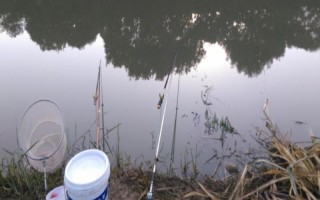 夏季野釣鯽魚如何調(diào)漂，一般選擇釣鈍