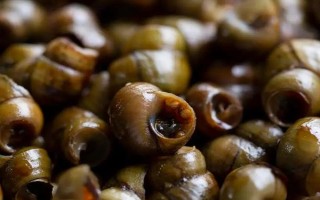 中秋節(jié)除了吃月餅還能吃什么，可以吃菱角、芋頭、田螺等