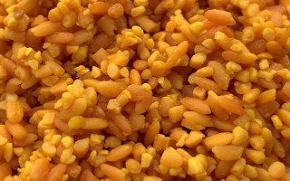 黃尾魚簡(jiǎn)介，因尾鰭呈桔黃色而得名