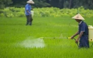 秋天種苜蓿能不能過冬，能過冬但要施足底肥