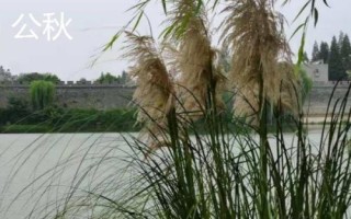 怎么區(qū)分公秋和母秋，公秋是指農歷6月份入秋、母秋是指農歷7月份入秋