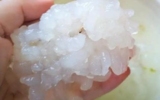 雪蛤的價格，油塊大小會影響到售價