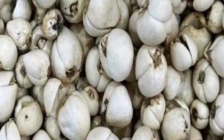 西藏那曲市的特產(chǎn)，酥油是藏族人不可缺少的食品