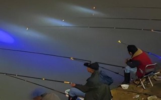 冬天夜釣鯉魚怎么選釣點(diǎn)，最好根據(jù)水域來選擇