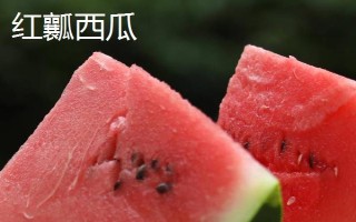 黃瓤西瓜是不是轉(zhuǎn)基因食品，是臺灣引進的稀有品種不是轉(zhuǎn)基因食品