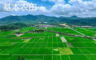 基本農(nóng)田和一般耕地的意思，前者是指被總體規(guī)劃不得占用的耕地、后者是指經(jīng)常耕耘的土地