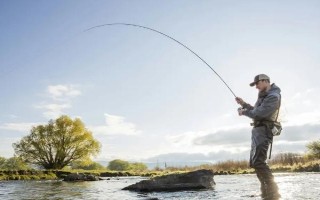 玉米釣魚是釣底還是半水，取決于魚種、釣場、天氣