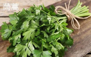 藜蒿能保存多長時(shí)間，保存期大概在3-7天