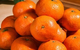 沙糖桔的產(chǎn)地，當(dāng)前主產(chǎn)于廣東、廣西等地