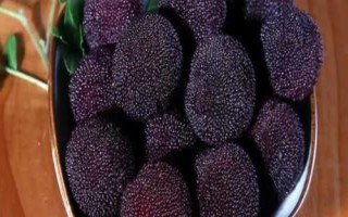 東魁楊梅的產(chǎn)地，原產(chǎn)于浙江黃巖