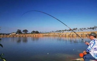 秋釣技巧，在水草區(qū)、入水口等位置釣魚更容易釣獲