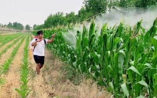 造成玉米打藥機(jī)維修事故的原因，可能是維修前準(zhǔn)備工作不充分